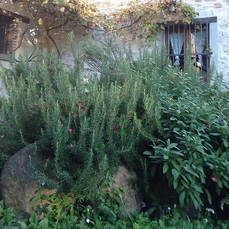 Alojamento de Turismo Rural Farmstay Agriturismo Prunara *