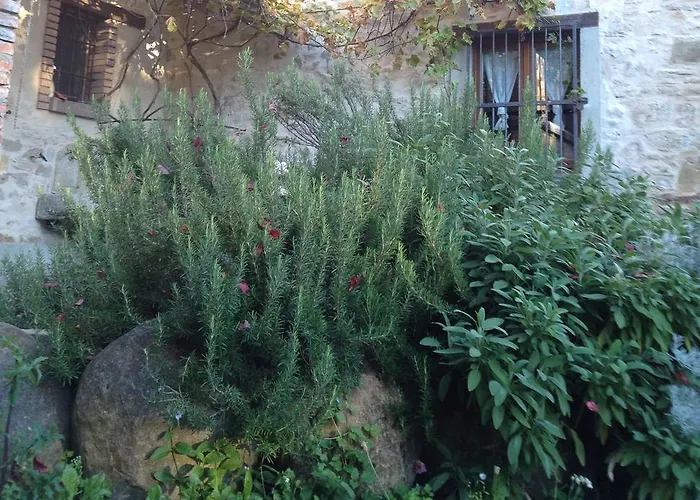 Farma Farmstay Agriturismo Prunara *